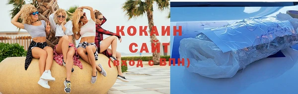 стаф Корсаков