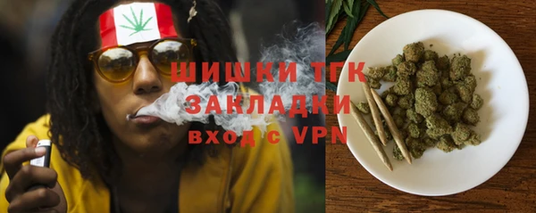 стаф Корсаков