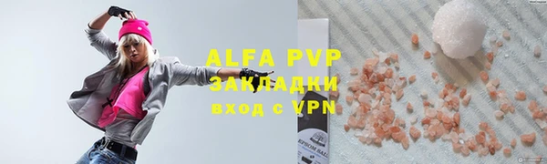 стаф Корсаков