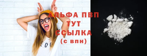 стаф Корсаков