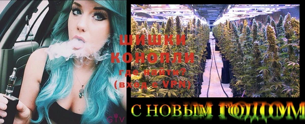 тгк Костерёво