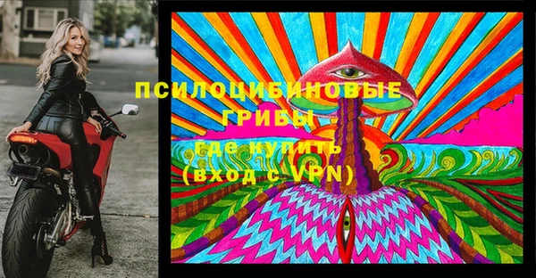 тгк Костерёво
