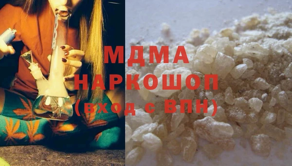 стаф Корсаков