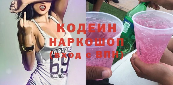 стаф Корсаков