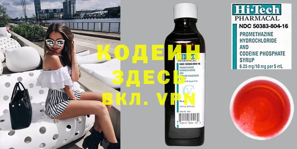 крисы Козельск