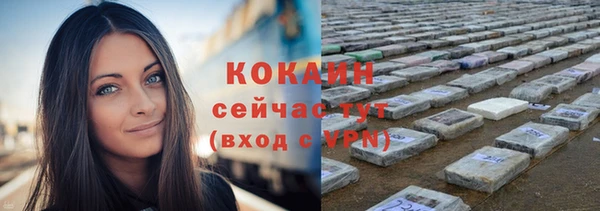 стаф Корсаков