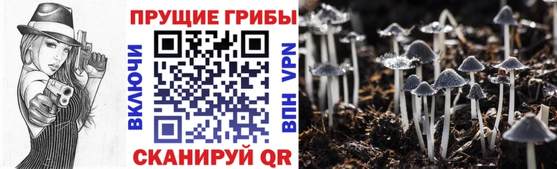 Галлюциногенные грибы Magic Shrooms  Салаир 